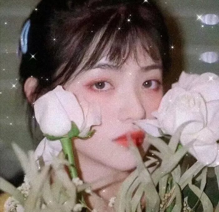 蛇蝎美人第二季